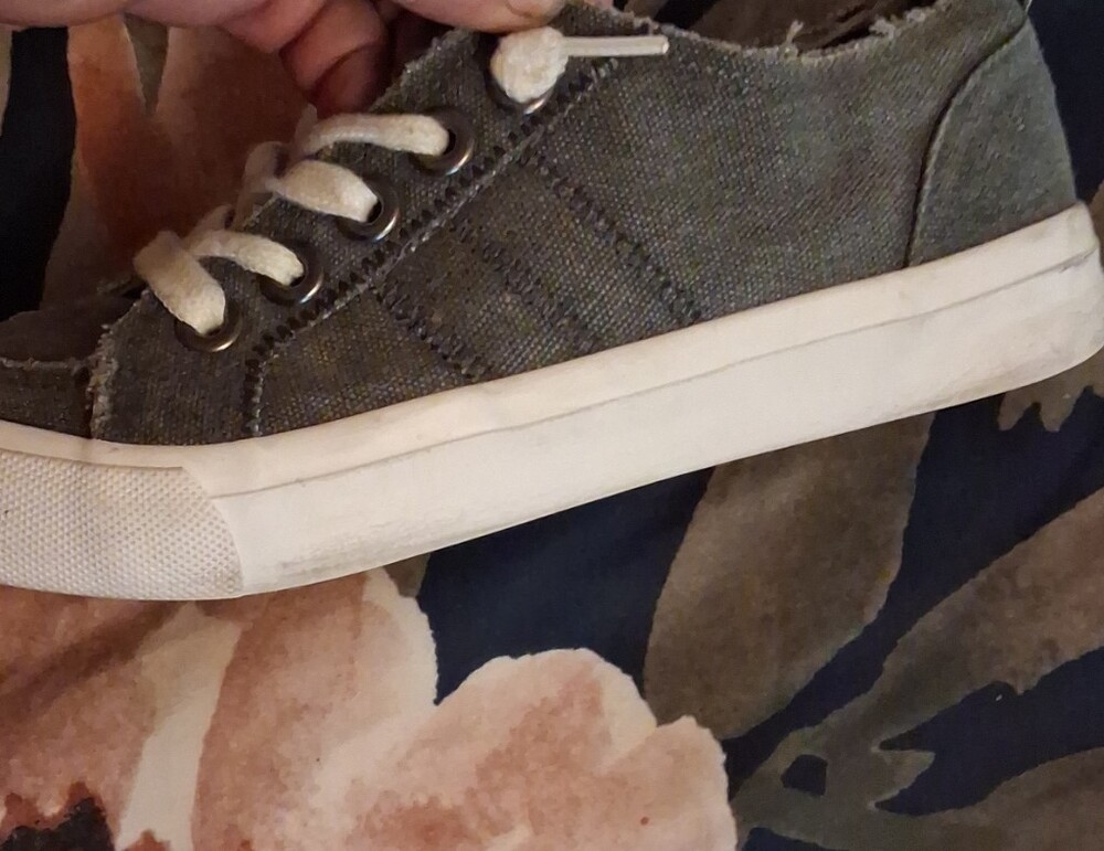 pop Men's Low-Top Canvas Sneakers in Grey Green and White